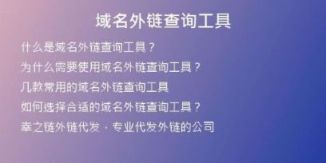 域名外鏈查詢(xún)工具