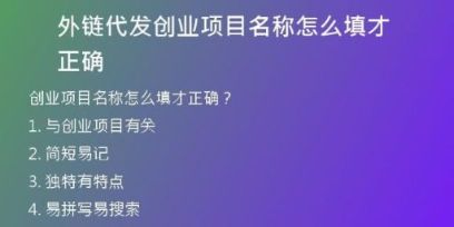 外鏈代發(fā)創(chuàng)業(yè)項目名稱怎么填才正確