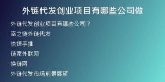 外鏈代發(fā)創(chuàng)業(yè)項目有哪些公司做