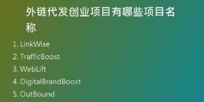 外鏈代發(fā)創(chuàng)業(yè)項目有哪些項目名稱