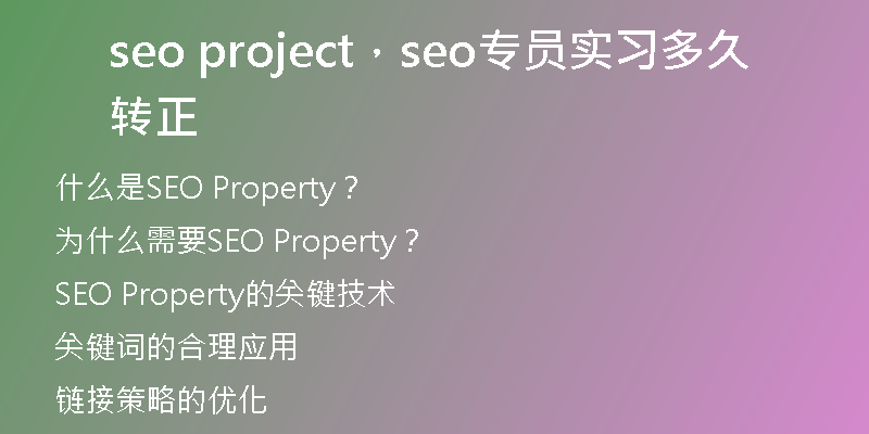 seo project，seo專員實習多久轉(zhuǎn)正