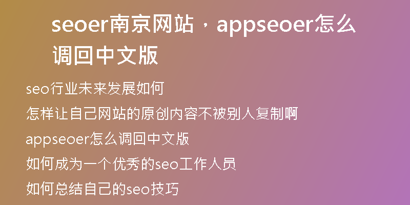 seoer南京網(wǎng)站，appseoer怎么調(diào)回中文版