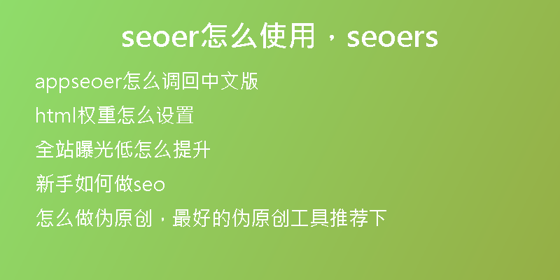 seoer怎么使用，seoers