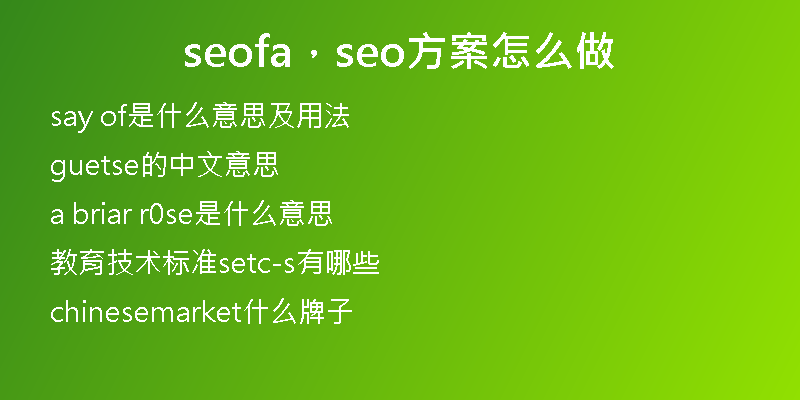 seofa，seo方案怎么做