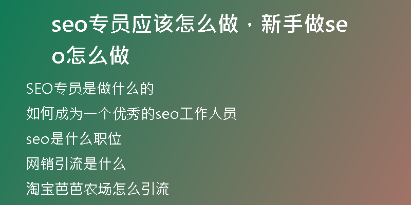 seo專員應(yīng)該怎么做，新手做seo怎么做