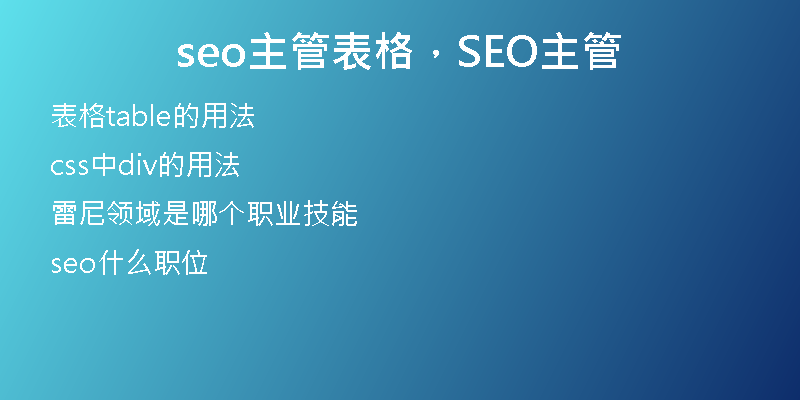 seo主管表格，SEO主管