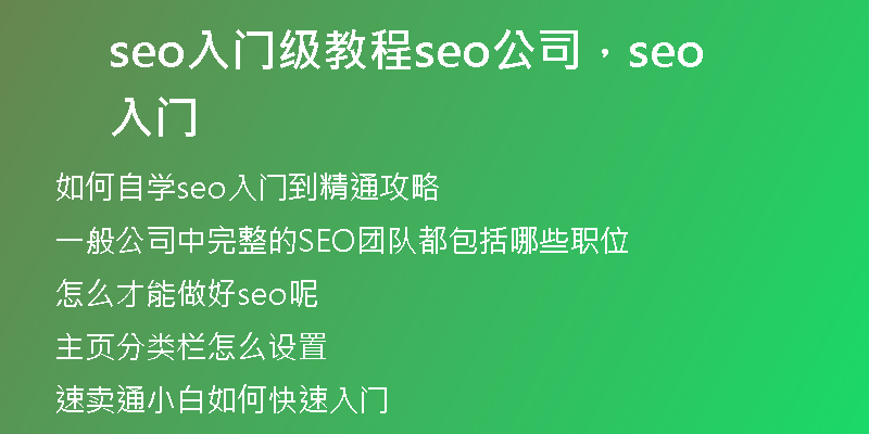 seo入門級教程seo公司，seo 入門