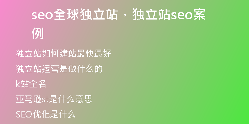 seo全球獨立站，獨立站seo案例