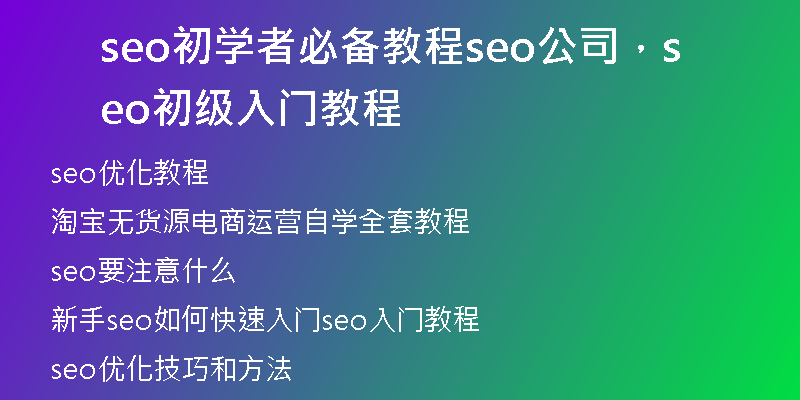seo初學(xué)者必備教程seo公司，seo初級入門教程