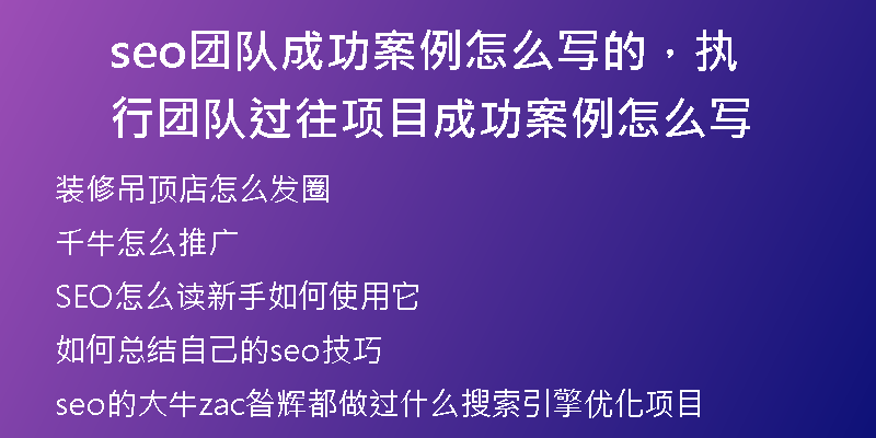seo團隊成功案例怎么寫的,執(zhí)行團隊過往項目成功案例怎么寫