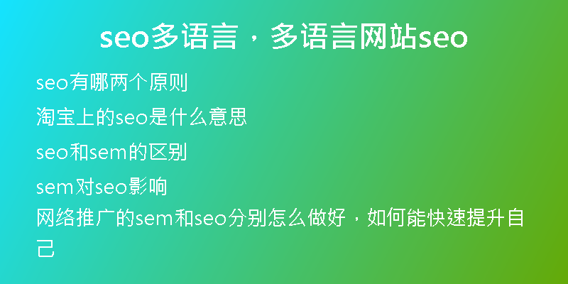 seo多語言，多語言網(wǎng)站seo