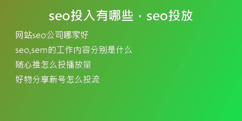 seo投入有哪些，seo投放