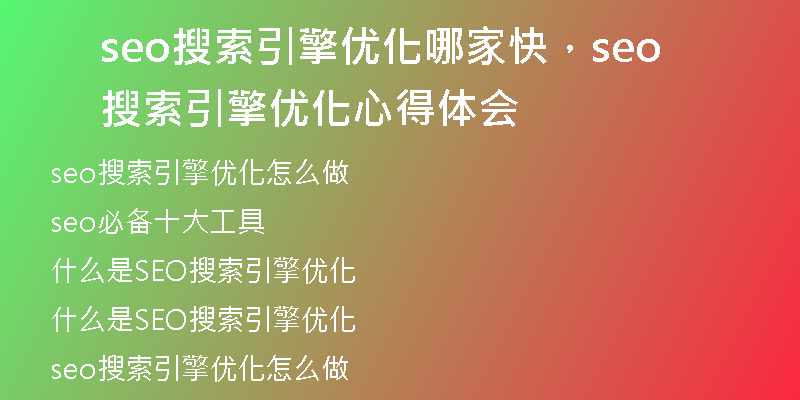 seo搜索引擎優(yōu)化哪家快，seo搜索引擎優(yōu)化心得體會