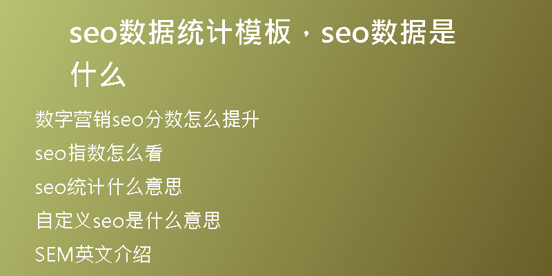 seo數(shù)據(jù)統(tǒng)計模板，seo數(shù)據(jù)是什么