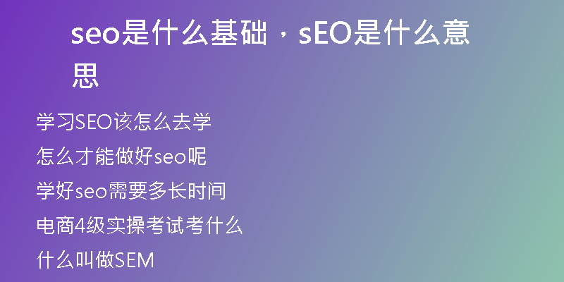seo是什么基礎(chǔ)，sEO是什么意思