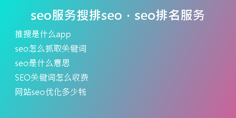 seo服務(wù)搜排seo，seo排名服務(wù)