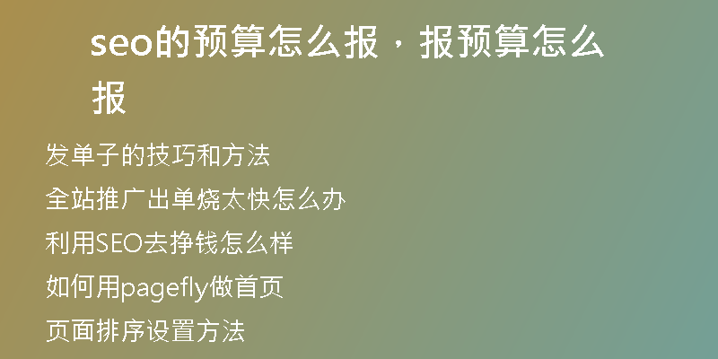 seo的預(yù)算怎么報，報預(yù)算怎么報