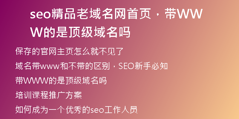 seo精品老域名網(wǎng)首頁(yè)，帶WWW的是頂級(jí)域名嗎